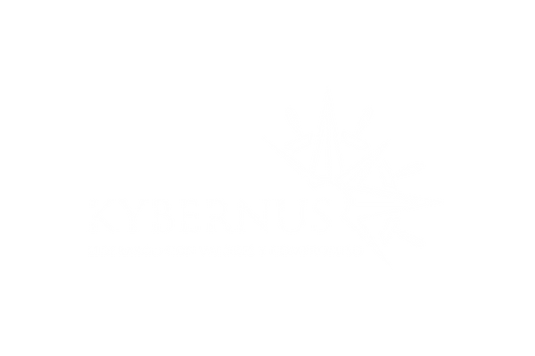 Kybernus-Logo Kybernus-Logo